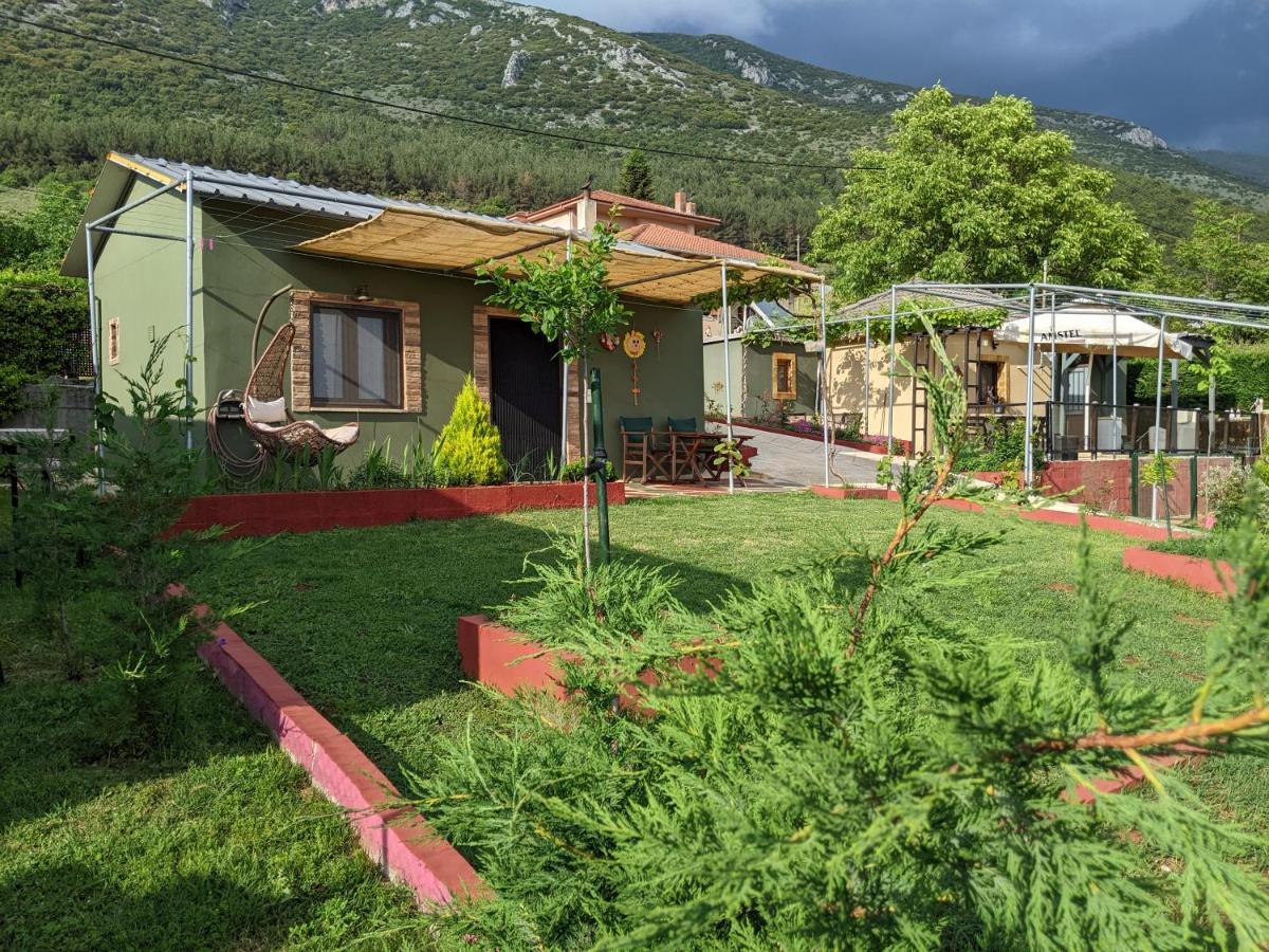 شقة Valena'S House يانينة المظهر الخارجي الصورة